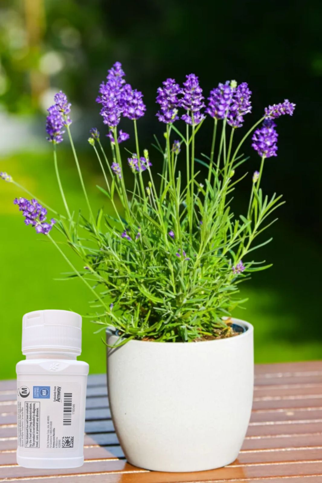  High-Quality Vitamin D from Mushrooms - Bone & Immune Health (Nutrilite)