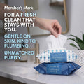 Member's Mark flushable wipes with text on a blurred bathroom background