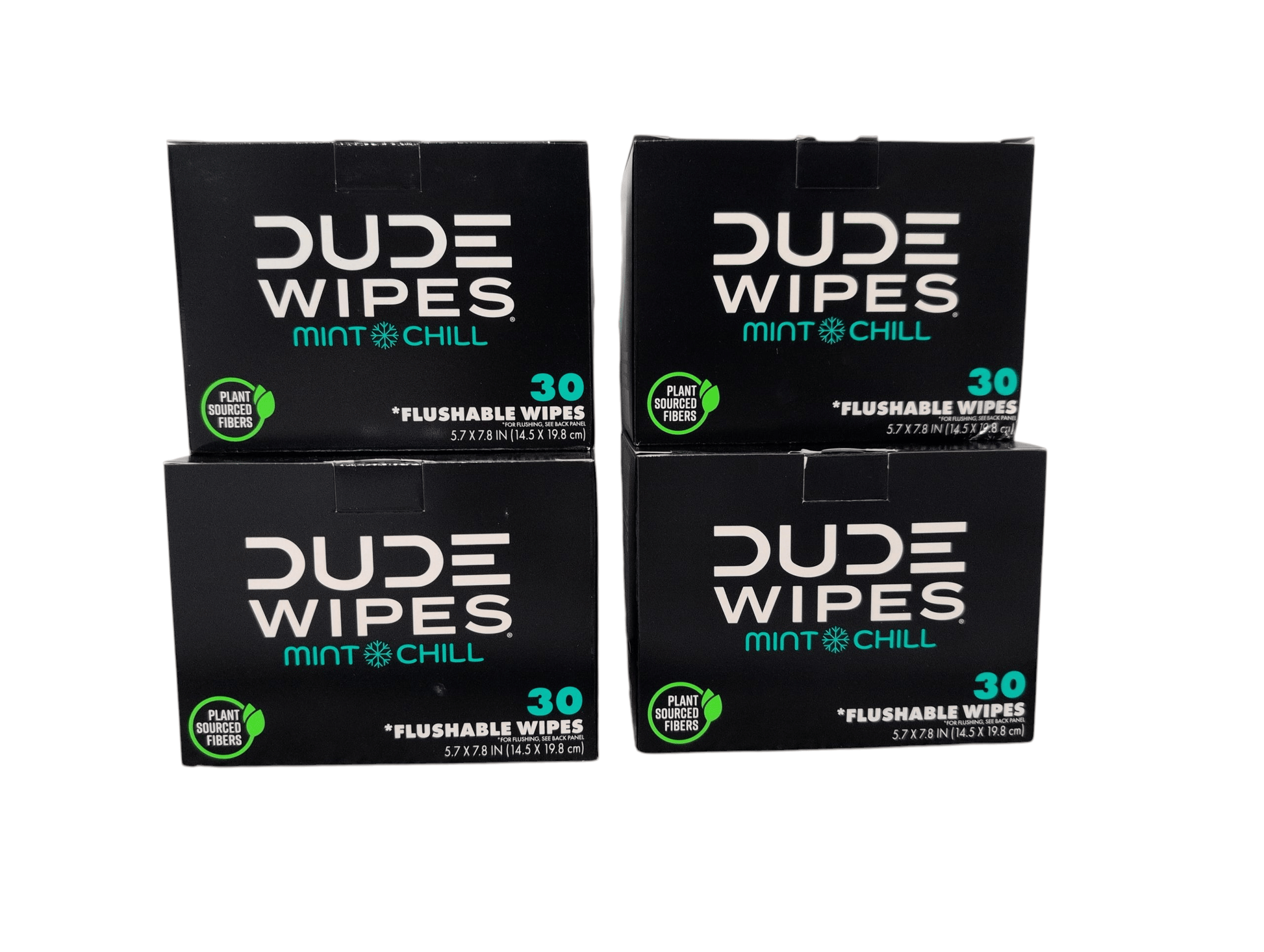 DUDE Wipes XL Mint Flushable Wipes 4 Pack 120 Wipes - Wakil Ahmed
