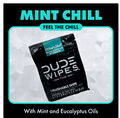 Dude Wipes XL Mint Flushable Wipes 4 Pack (120 Wipes) Sewer & Septic Safe.