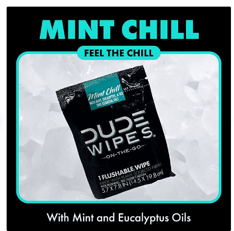 Dude Wipes XL Mint Flushable Wipes 4 Pack (120 Wipes) Sewer & Septic Safe.