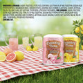Country Time Lemonade Variety Pack 19 oz 3 Pack Drink Mix with Real Sugar & Vitamin C - Wakil Ahmed Marketplace 