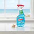 Windex Original Glass Cleaner Set spray bottle detail