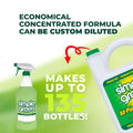 Simple Green All - Purpose Cleaner 172 fl oz Spray Bottle + Refill Pack - Wakil Ahmed